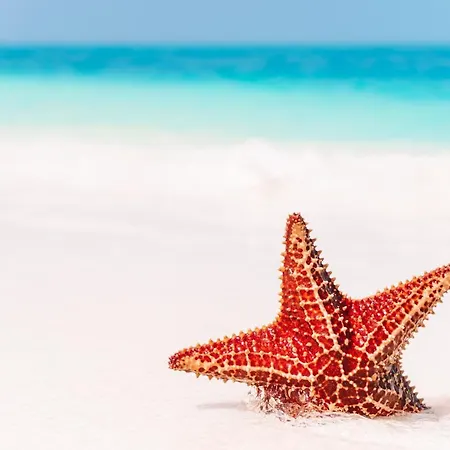 Al Mare * Specchiolla